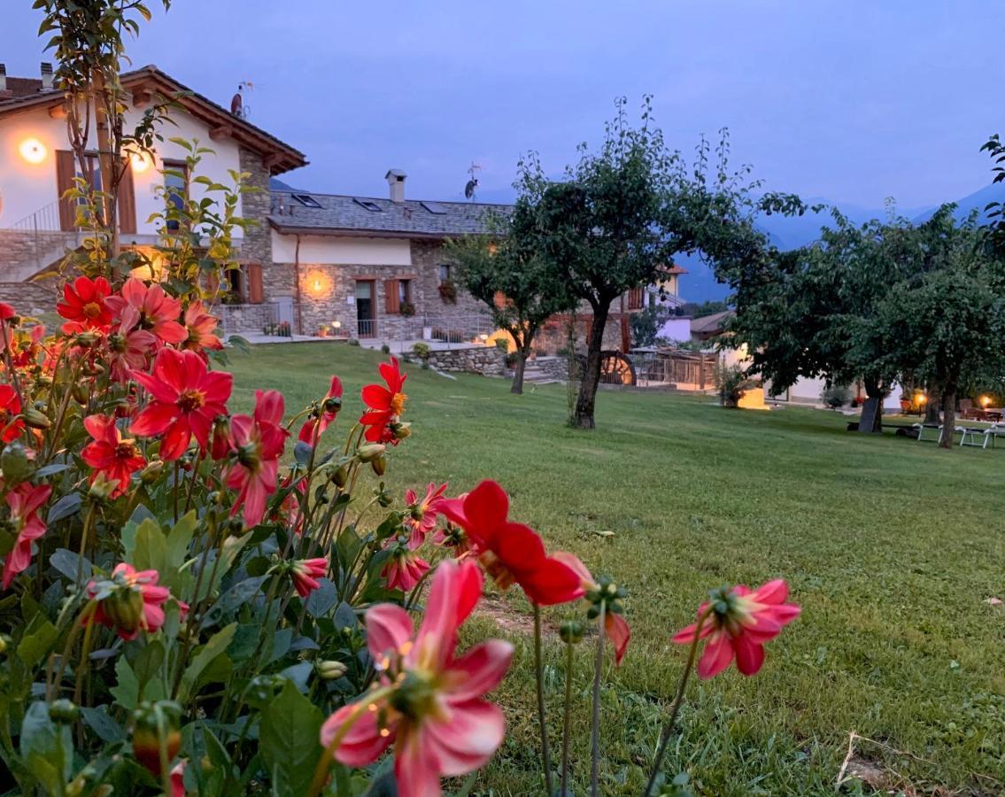 La Volta - Lake Como Heritage Home In Molino Maufet Watermill - Patio On The Garden Colico Exterior foto